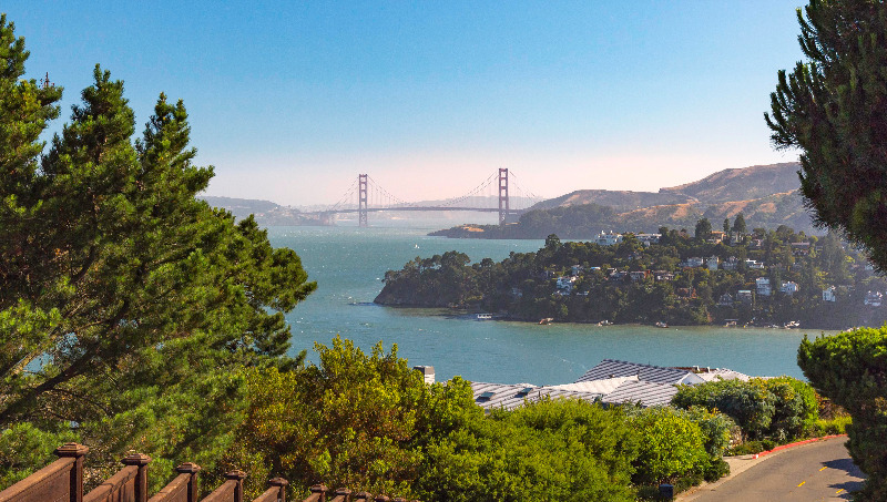 Bay view featuring Golden Gate Bridge from hillside custom home in Tiburon by S.A. Baxter, Inc.